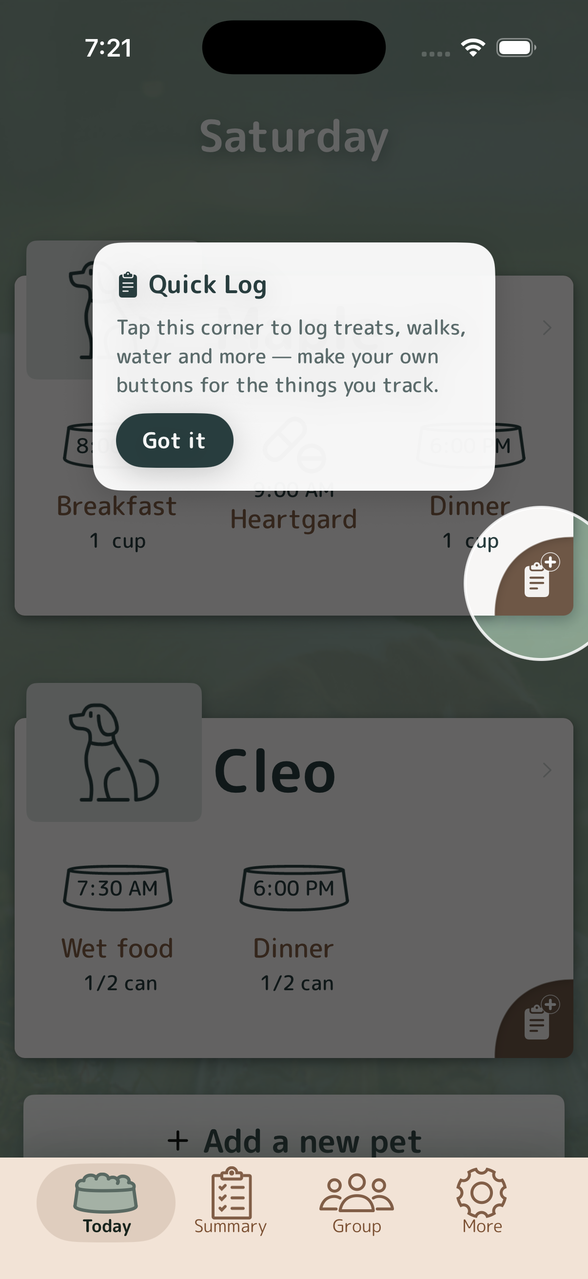 Meal Time app walkthrough showing quick log for treats, walks, water, and custom care.