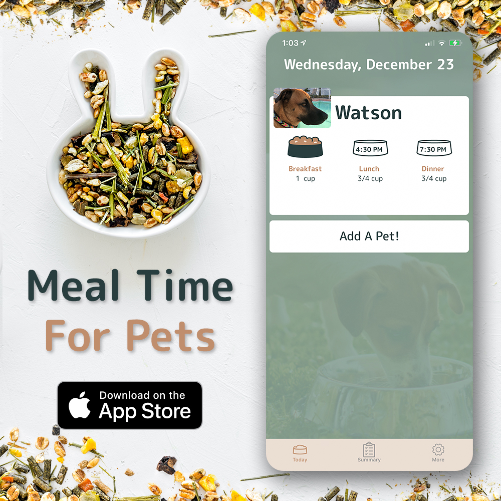 Meal Time For Pets